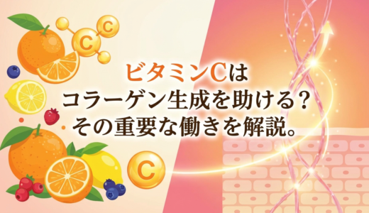 ビタミンCはコラーゲン生成を助ける？その重要な働きを解説。
