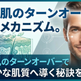男性肌のターンオーバー促進メカニズム。健やかな肌質へ導く秘訣を解説。