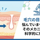 毛穴の目立ちに悩んでいませんか?そのメカニズムを科学的に解説。