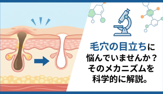 毛穴の目立ちに悩んでいませんか？そのメカニズムを科学的に解説。